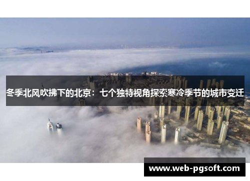 冬季北风吹拂下的北京：七个独特视角探索寒冷季节的城市变迁