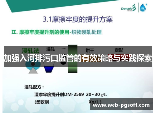加强入河排污口监管的有效策略与实践探索