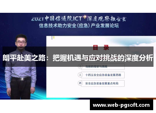 朗平赴美之路：把握机遇与应对挑战的深度分析