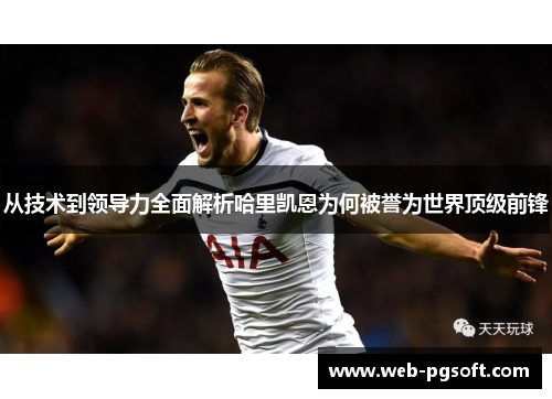从技术到领导力全面解析哈里凯恩为何被誉为世界顶级前锋